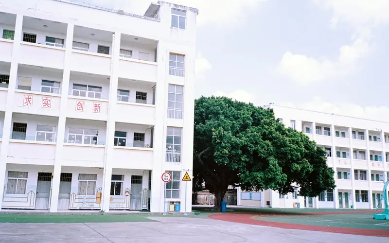 Foto de Escola Nova Lua